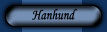 L�s om hanhund ...