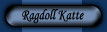 Pr�sentation af Ragdoll katte
